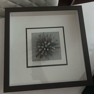 Modern Framed Brazilian Agate Crystal Flower Wall Art 12X12